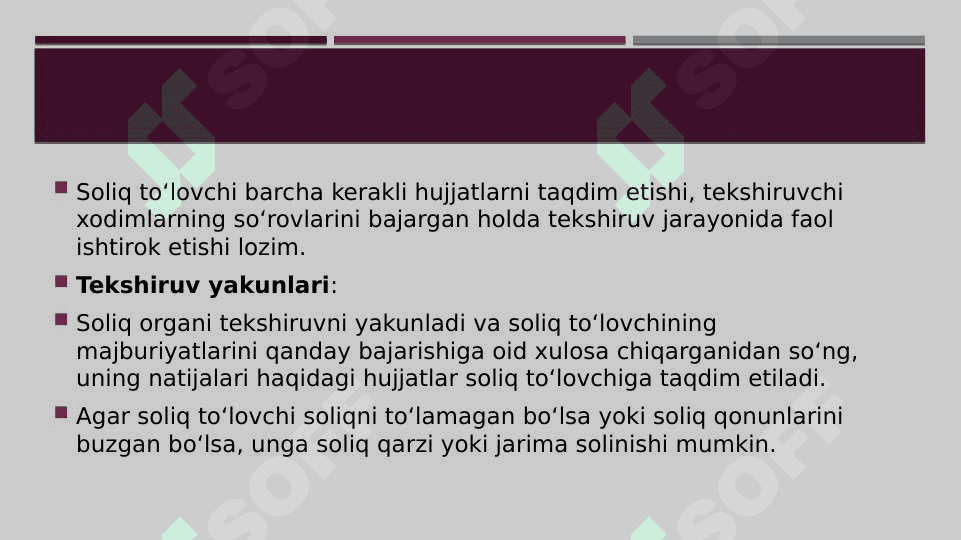 Soliq tekshiruvi 7