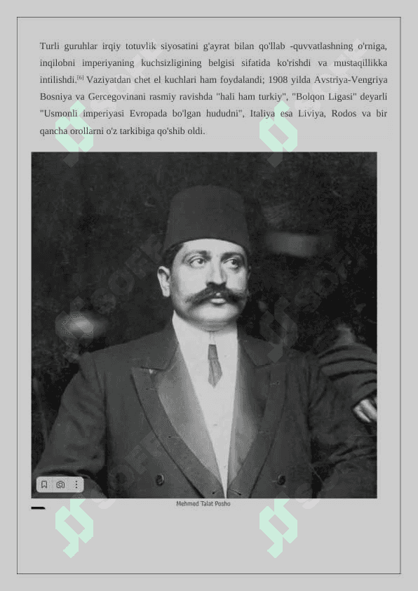 Yosh turklar harakati  24 8