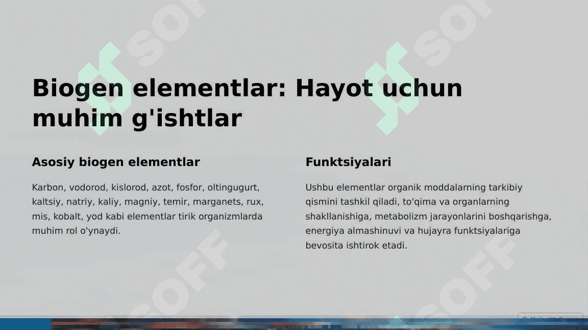 Biokimyo asoslari: Biogen elementlar va fermentlar 2