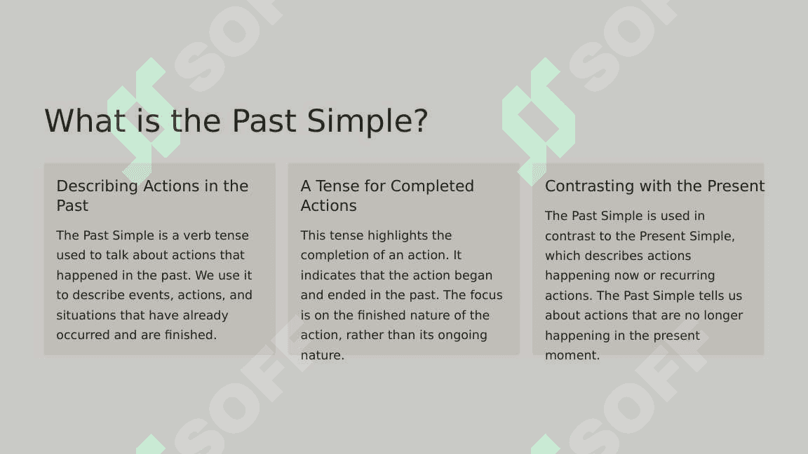 Past Simple Tense 2