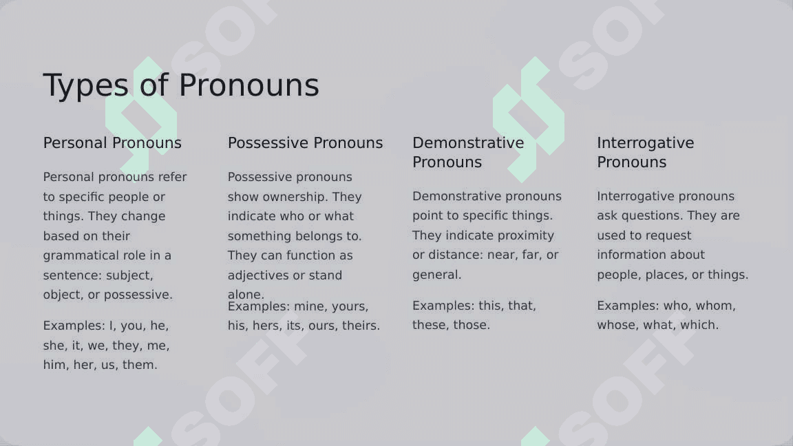 Pronouns and Possessives 3