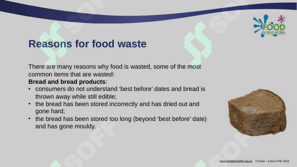 Food waste 3
