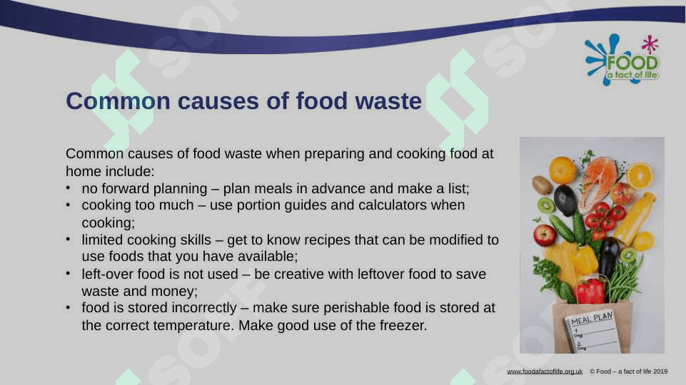 Food waste 8