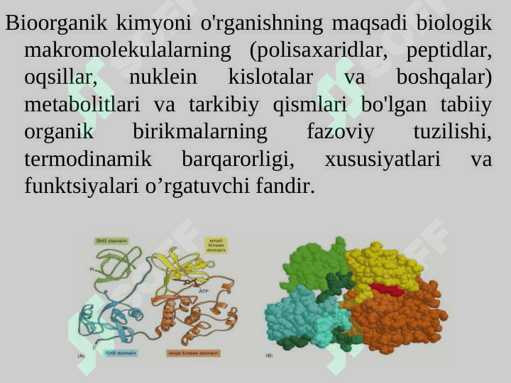 ORGANIK BIRIKMALARNING TASNIFI, NOMENKLATURASI. ORGANIK BIRIKMALARNING FAZOVIY TUZILISHI 8