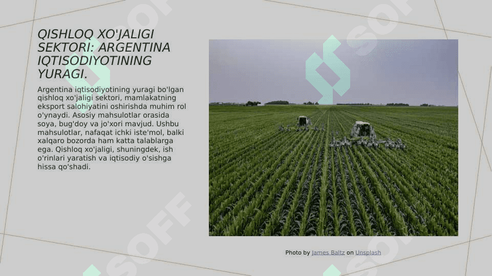 Argentina Iqtisodiyoti 4