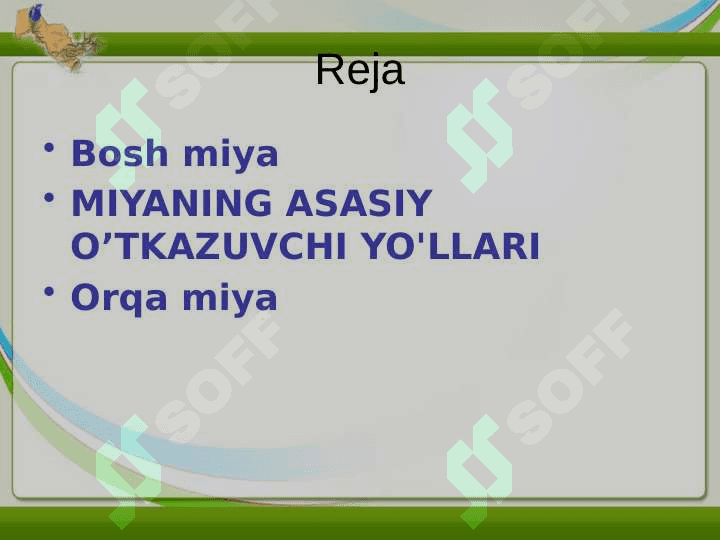 BOSH MIYA VA ORQA MIYANING ASASIY YO'LLARI 2