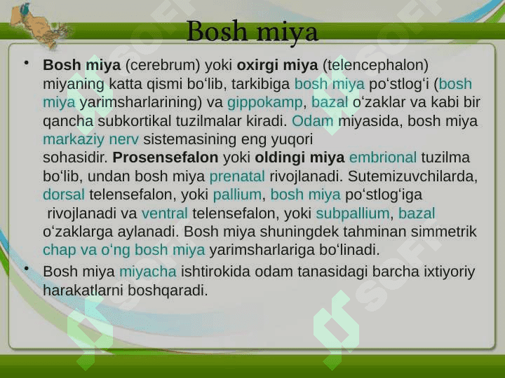 BOSH MIYA VA ORQA MIYANING ASASIY YO'LLARI 4