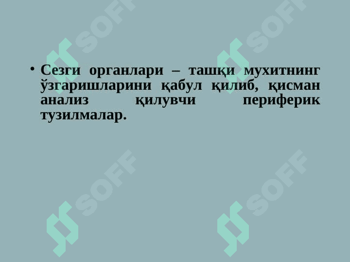 Organizmning sensor sistemasi. ( Sensor tizim ) 7