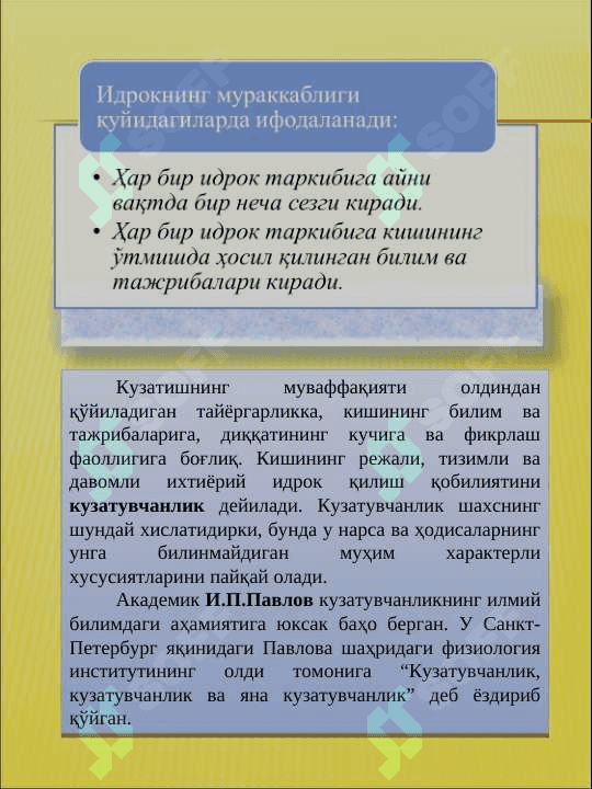 Idrok 4