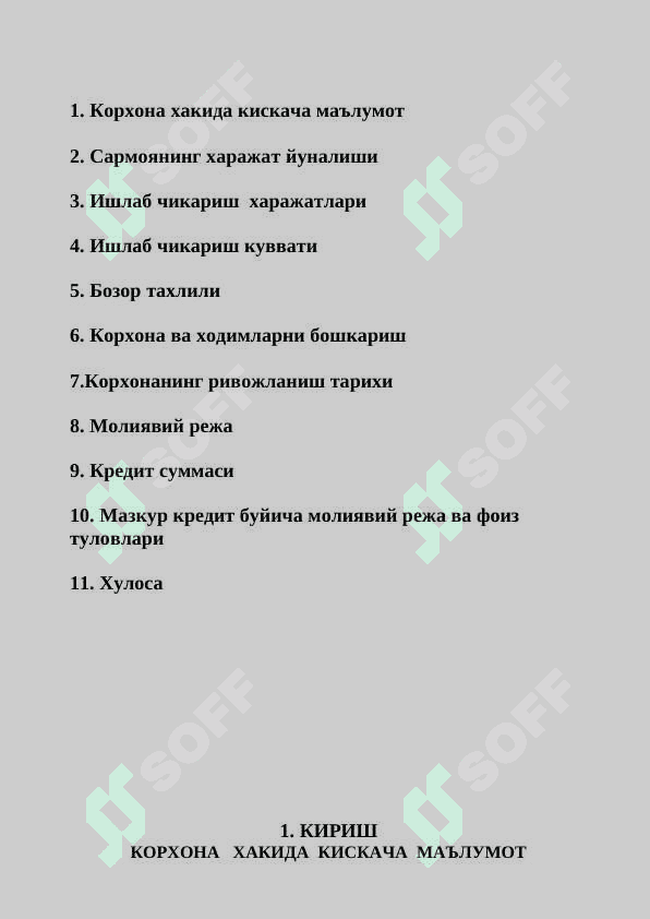 НОН  ВА МАКАРОН  МАХСУЛОТЛАРИ  ИШЛАБ  ЧИКАРИШНИ  ТАШКИЛ   КИЛИШ  Б И З Н Е С  Р Е Ж А С И 2