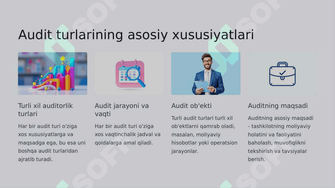 Auditing-Turlari-va-Shakllari 3