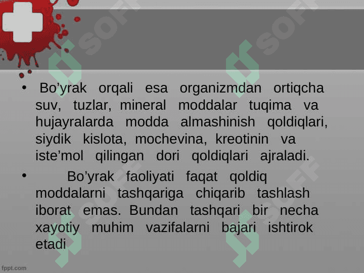 Ayiruv sistemasi, buyrak fiziologiyasi 4