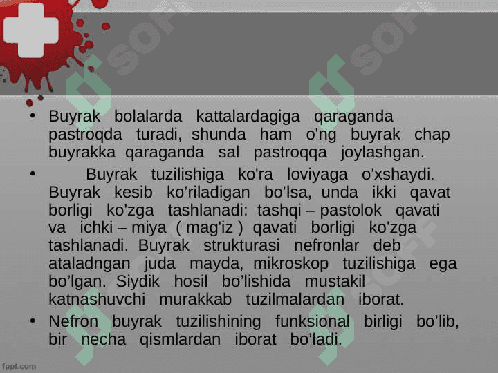Ayiruv sistemasi, buyrak fiziologiyasi 6