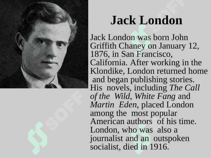 American  Writers 2