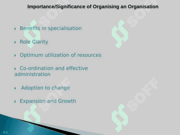 organization 2