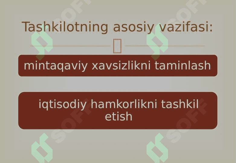 Shanxay hamkorlik tashkiloti va uning faol. 8