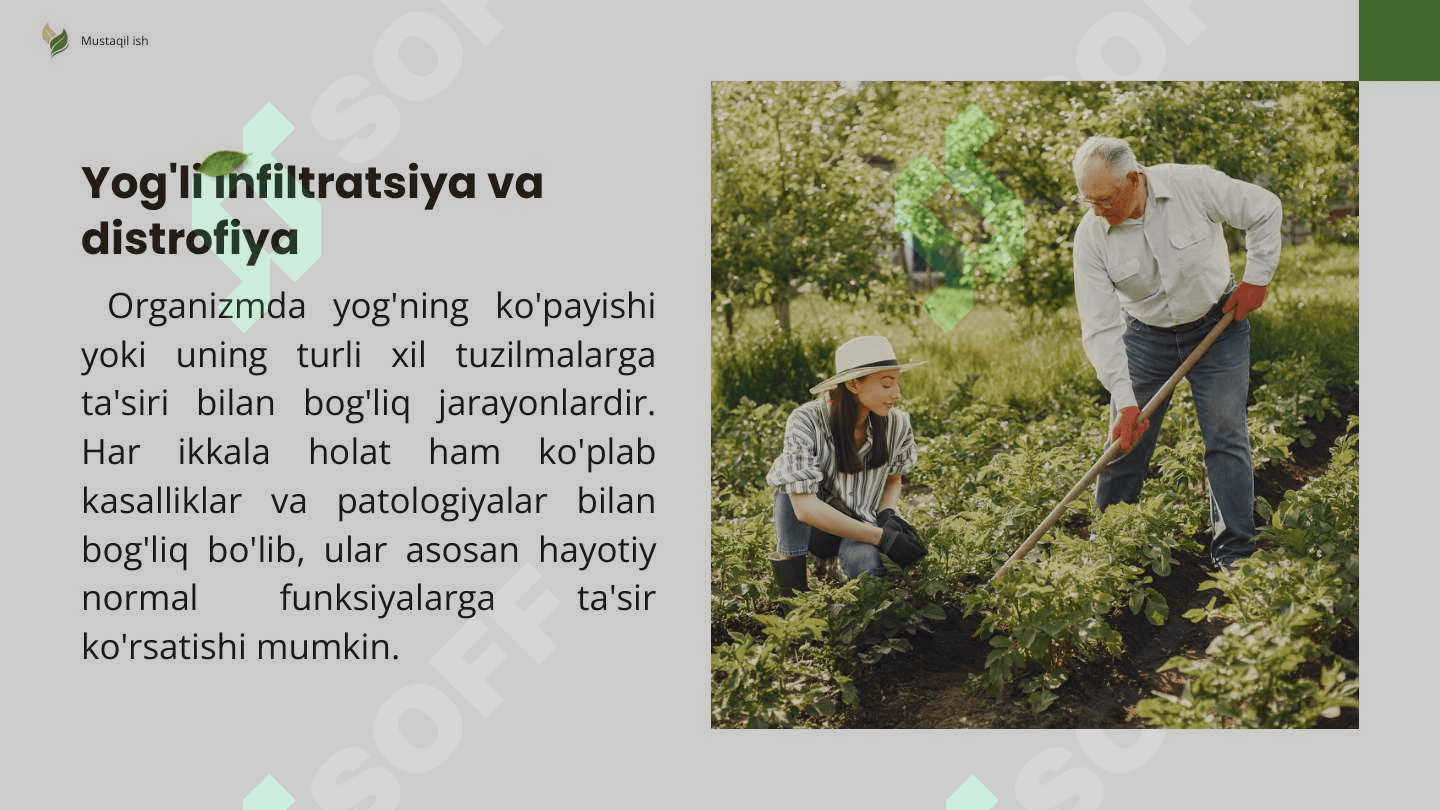 Yog'li infiltratsiya va distrofiya 3