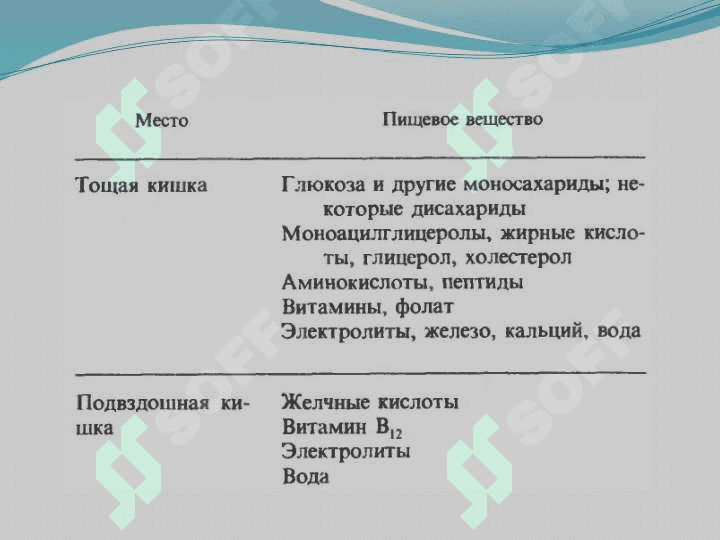 Oshqozon ichak tizimi biokimyosi 5