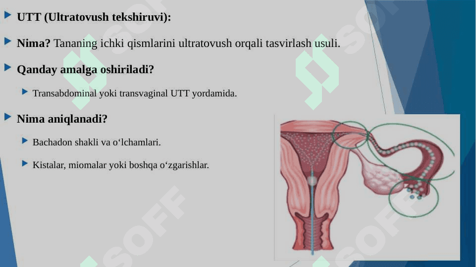 BACHADON TUG'MA ANOMALIYALARI.GSG VA UTT TEKSHIRUVLARI 5