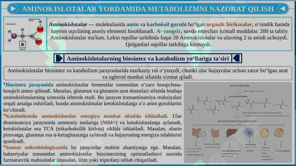 Metabolizmni aminokislotalar yordamida nazorat qilish va gunozintetrafosfatning funksiyasi, katabolit repressiya va s-AMF 4