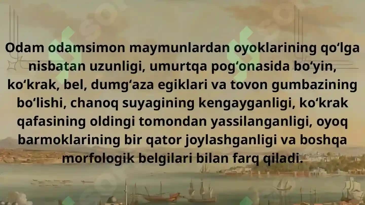 Inson evolyutsiyasi va oddiy tarix 7