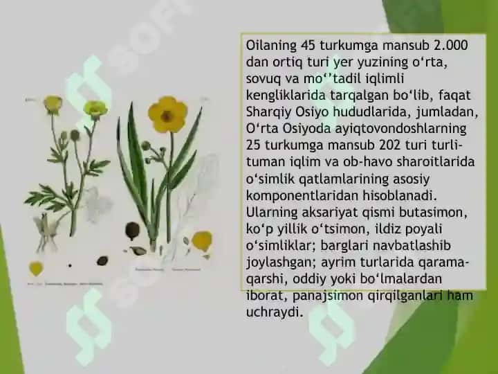 AYIQTOVONDOSHLAR OILASI 3
