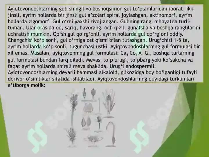 AYIQTOVONDOSHLAR OILASI 4