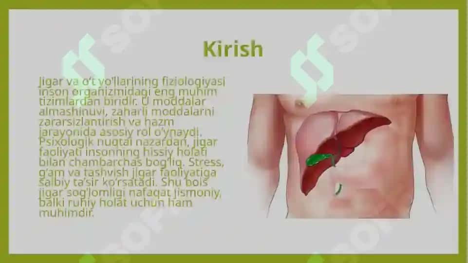 Jigar va o‘t yo‘llarining fiziologiyasi 3