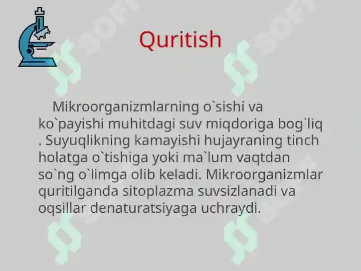 Mikroorganizmlarga tashqi muhit faktorlarini ta’sirini o’rganish 6