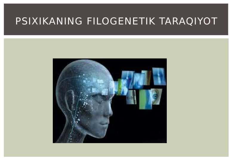 Psixikaning  filogenetik taraqqiyoti 1
