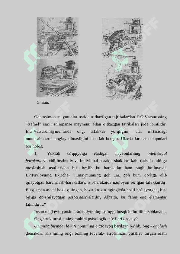 ONG TARAQQIYOTI VA ONGSIZLIK 6
