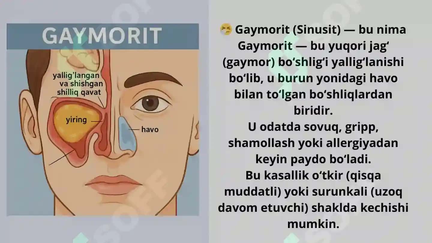 Goymorit 2