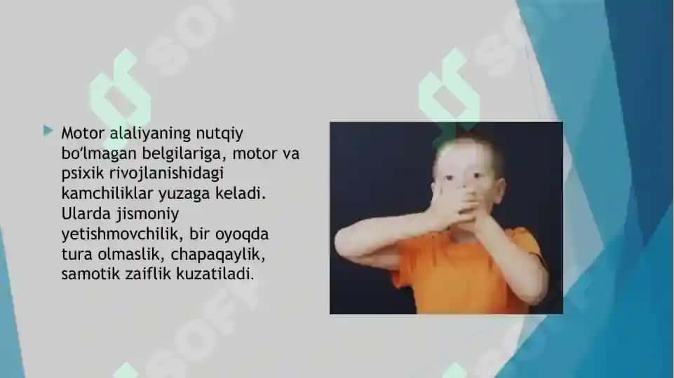 Alaliya 8