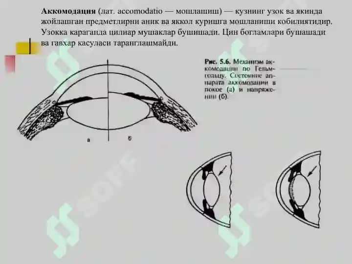 Клиник рефракция. Рефракция аномалияларини диагностикаси 5