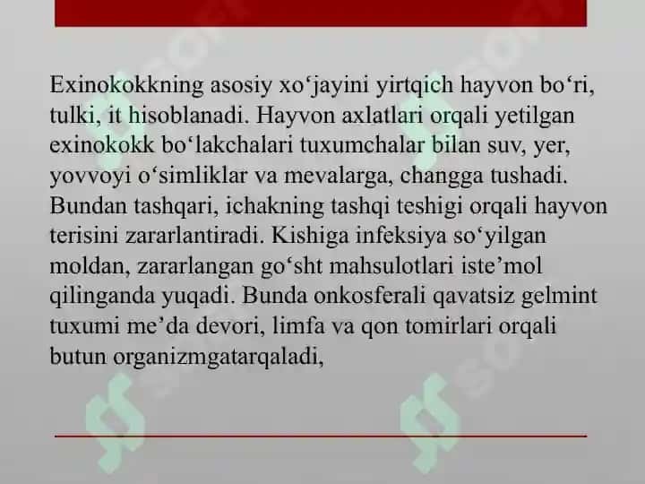 Exinakokk kasalligi 3
