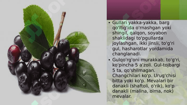 RA'NODOSHLAR 5