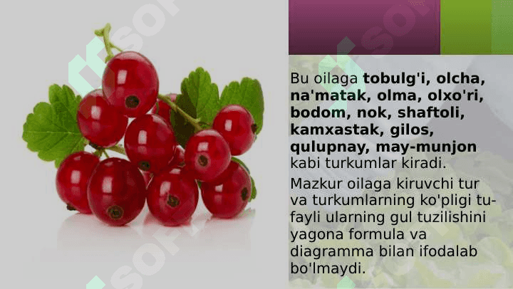 RA'NODOSHLAR 7