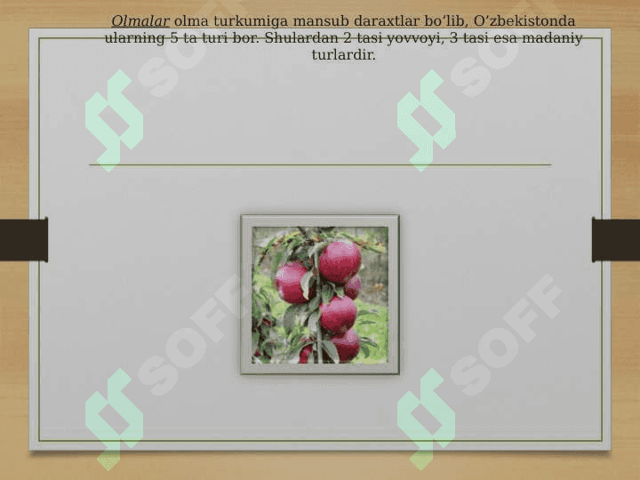 Ra’nodoshlar oilasi 8