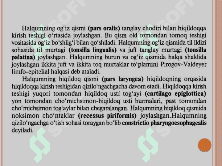 Halqum funksional va
topografik anatomiyasi 5