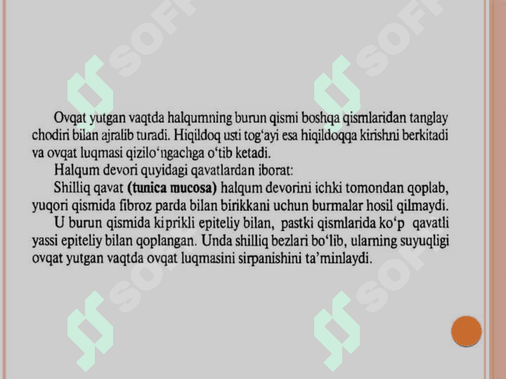 Halqum funksional va
topografik anatomiyasi 6