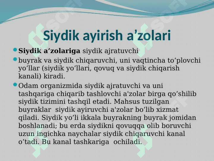 Ayiruv tizimining yosh xususiyatlari va gigiyenasi 3