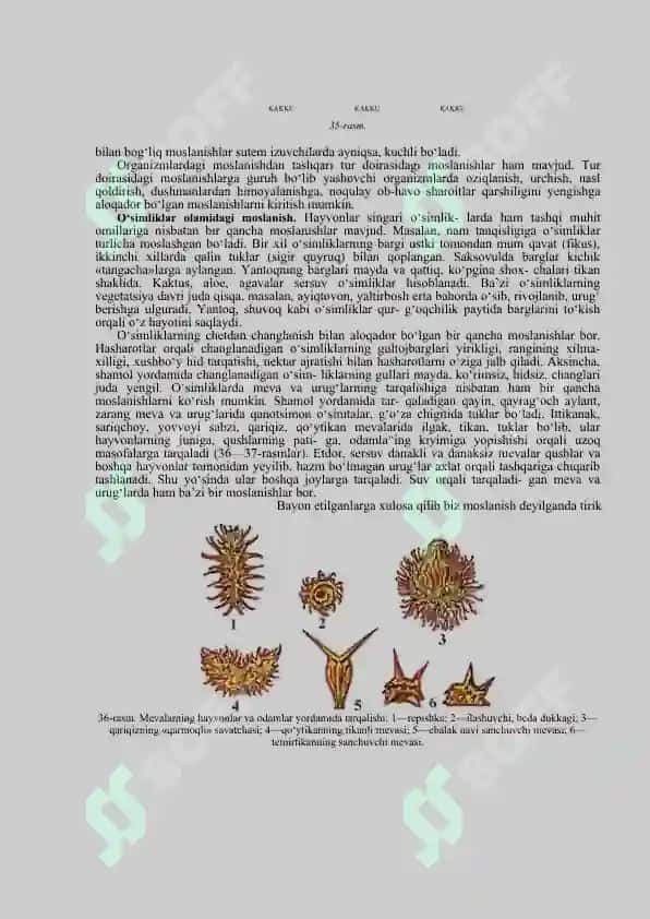 Moslanishning bosqichlari 4