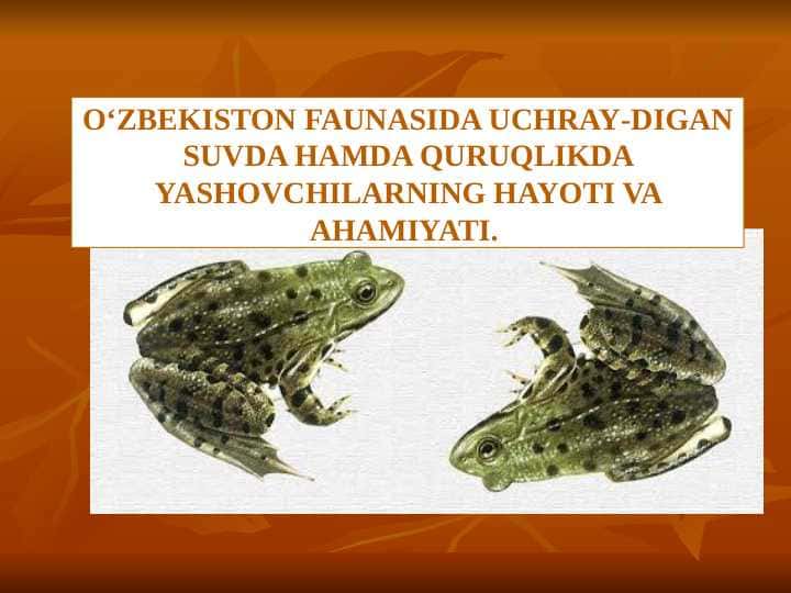 O‘ZBEKISTON FAUNASIDA UCHRAY-DIGAN SUVDA HAMDA QURUQLIKDA YASHOVCHILARNING HAYOTI VA AHAMIYATI.