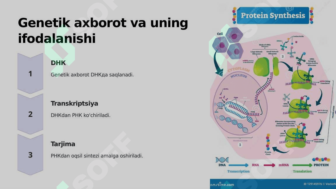 Genetik Kasalliklarning Molekulyar Diagnostik Asoslari 4