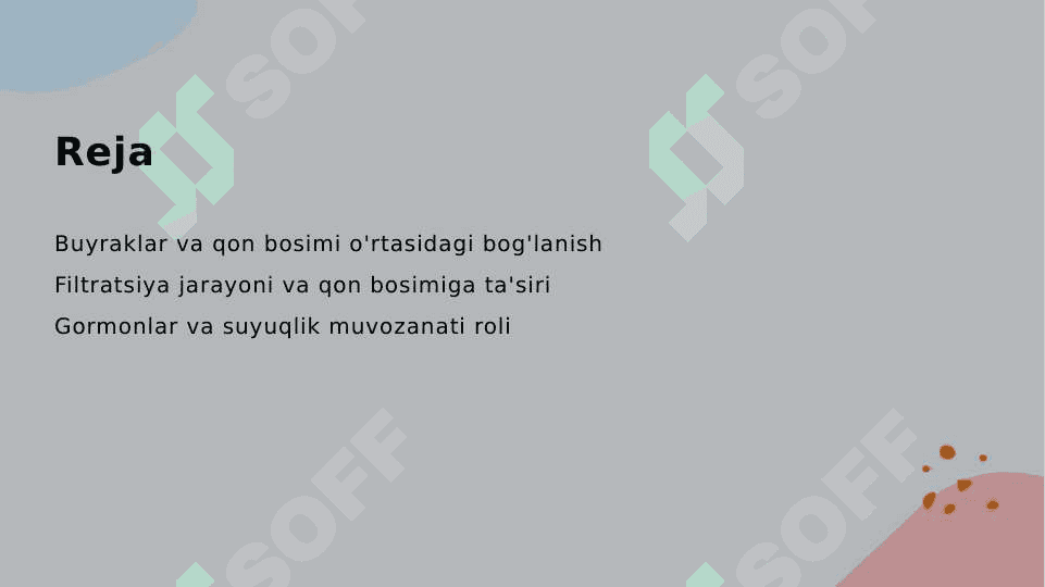 Arterial bosimning boshqariluvida buyraklarning roli. 2