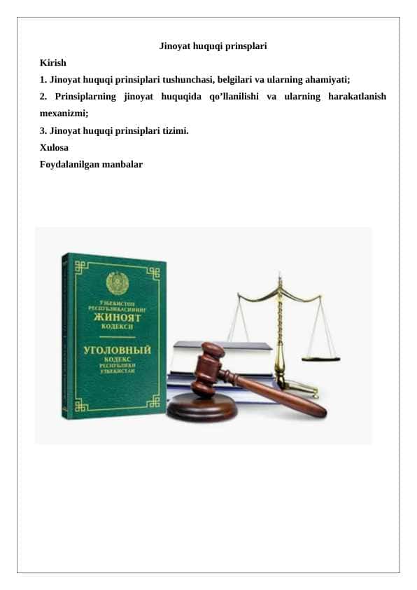Jinoyat huquqi prinsplari  24