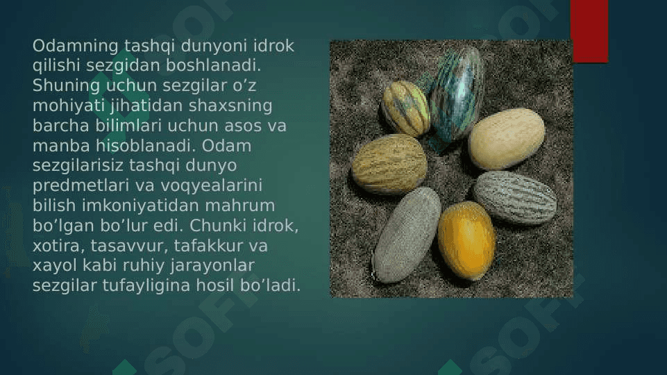Sezgi 4