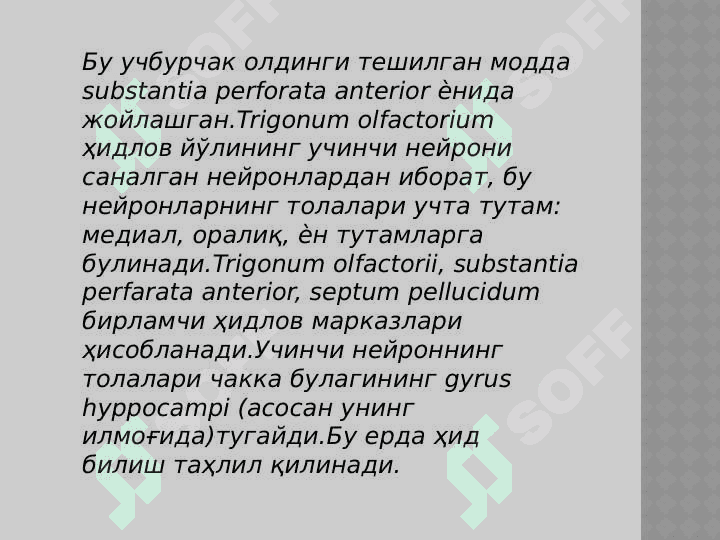 I-VI juft bosh miya nervlari 6