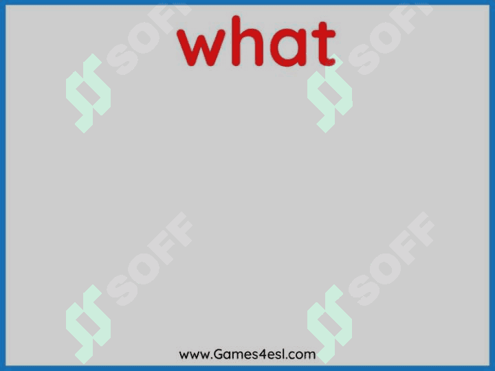 Wh Questions 6