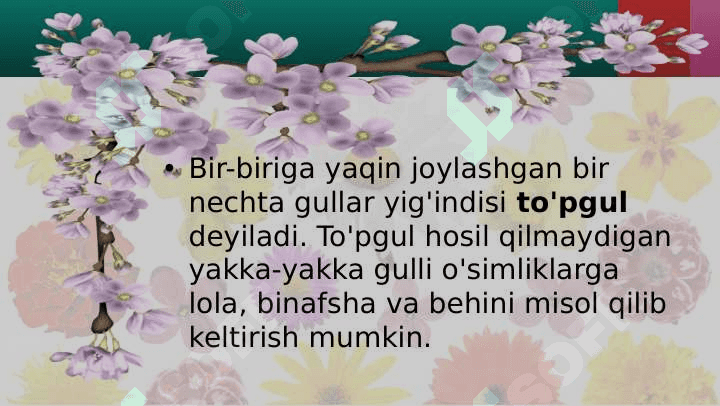 To'pgullar. Ularning tuzilishi va tiplari 3